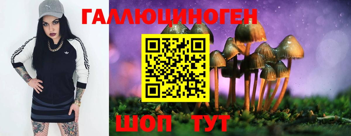Псилоцибиновые грибы Psilocybine cubensis Семилуки